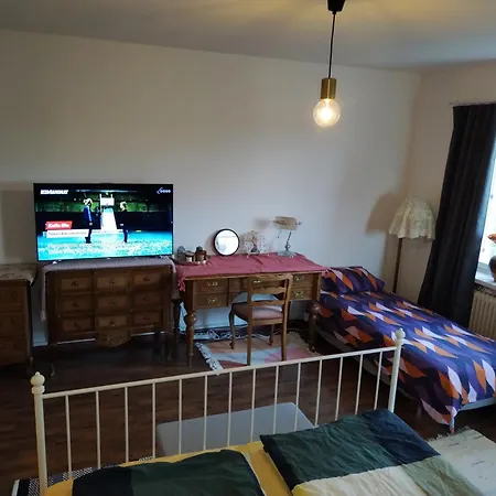 Cozy Big Near Center Apartment